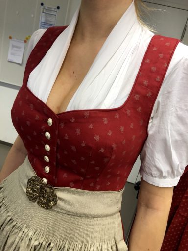 Traditionelles bayerisches Dirndl mit rotem Oberteil und hellen, eleganten Details.